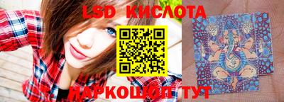 PSILOCYBIN Кунгур