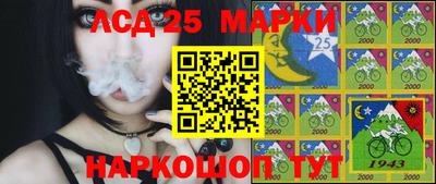 PSILOCYBIN Кунгур