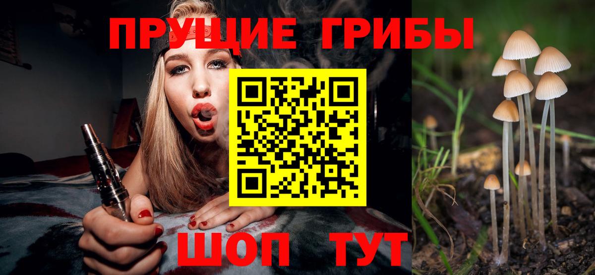 Гашиш Зеленогорск