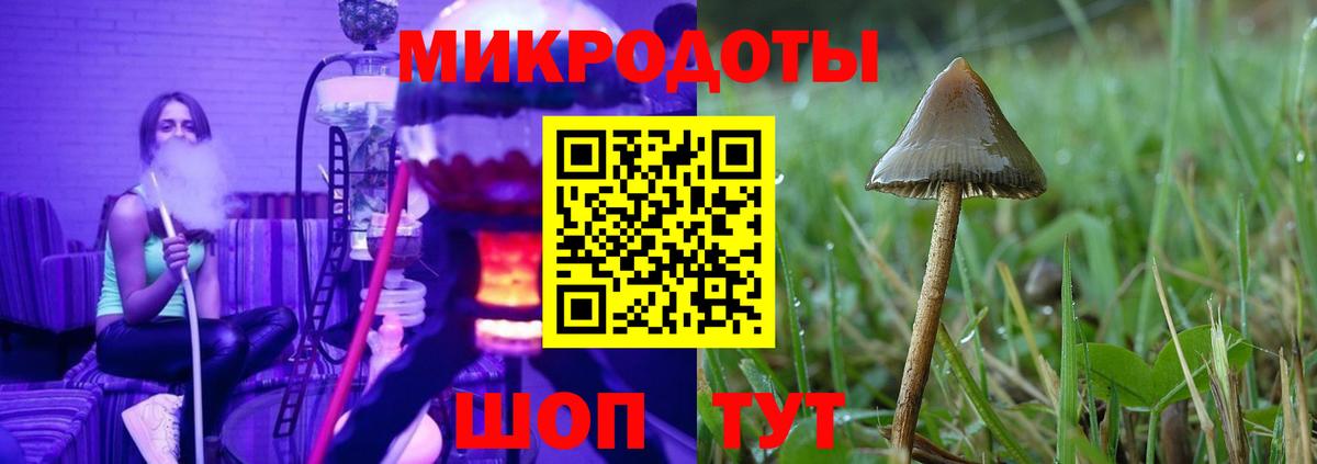 Галлюциногенные грибы Psilocybe  Вход с VPN  дарнет шоп  Галлюциногенные грибы Psilocybe  Зеленогорск 