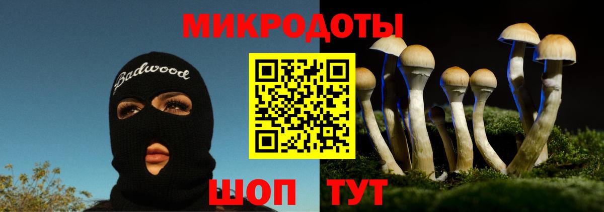 Псилоцибиновые грибы Magic Shrooms Зеленогорск